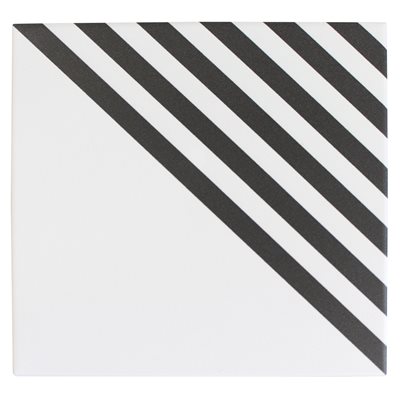 Film Stripe Positive 8x8