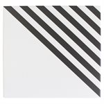 Film Stripe Positive 8x8