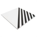 Film Stripe Positive 8x8