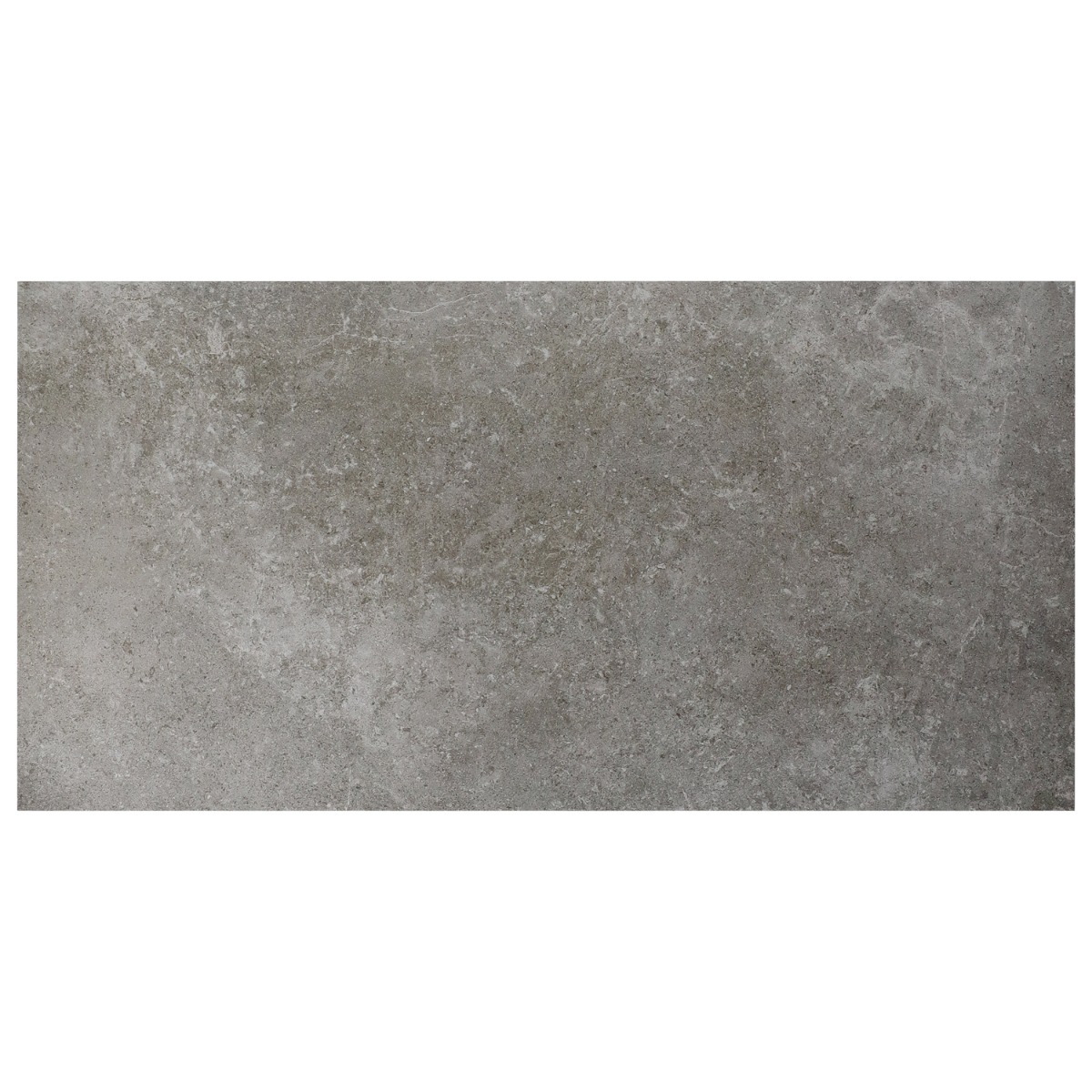 Ages Fossil Dark Gray 24x48 Limestone Look Matte Porcelain Tile