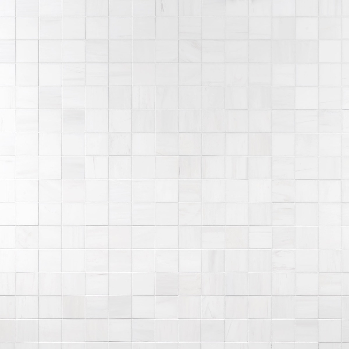 Bianco Dolomite Premium 3" Square Honed 