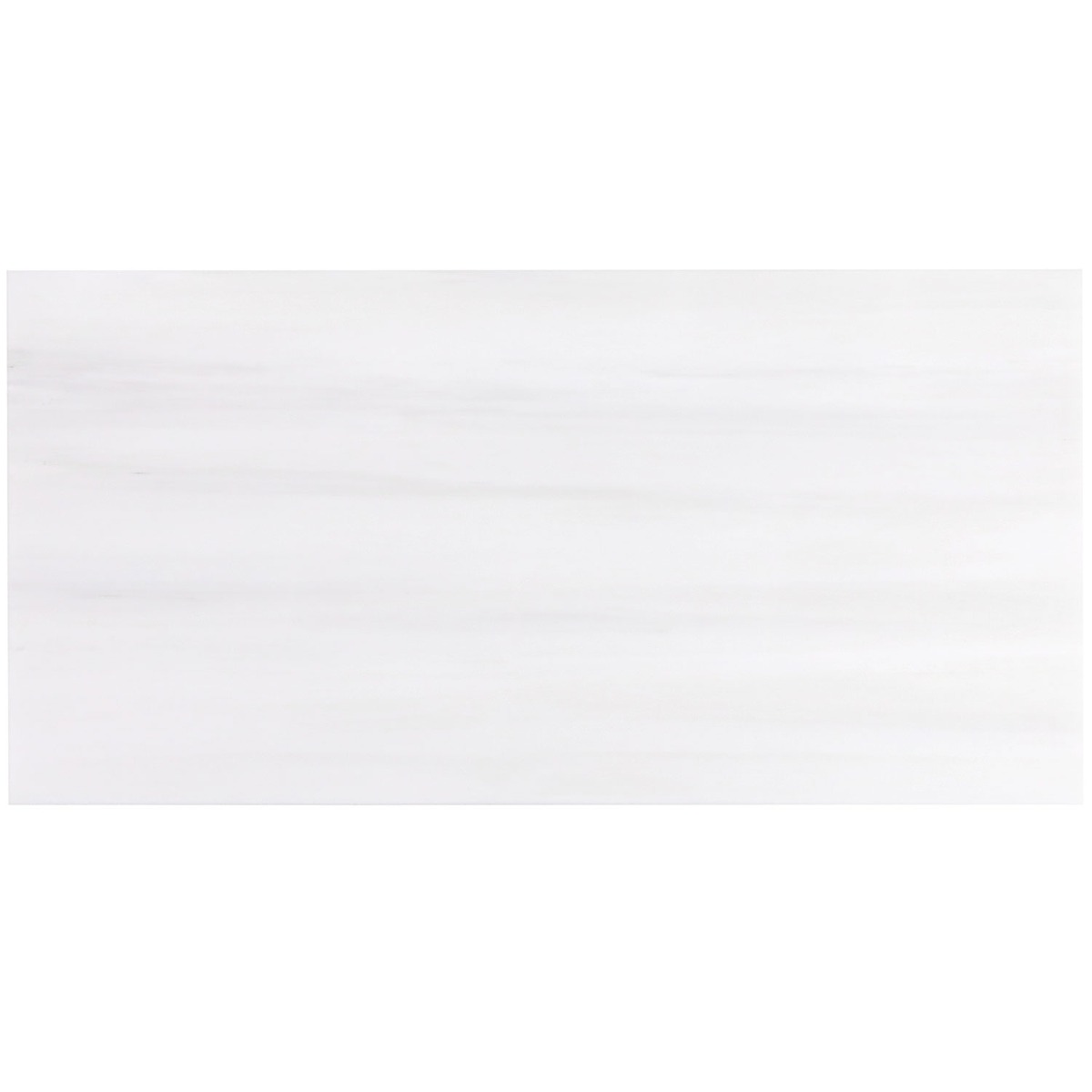 Bianco Dolomite White 12x24 Premium Honed Marble Tile