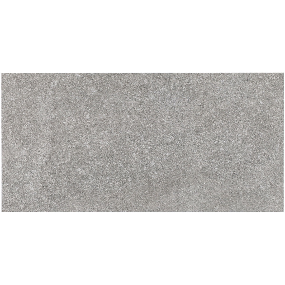 Olympic Gray 12x24 Matte Porcelain