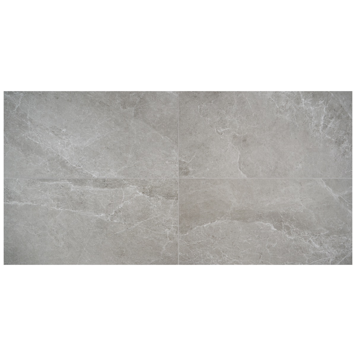 Montech Silver Gray 24x48 Matte Porcelain Tile