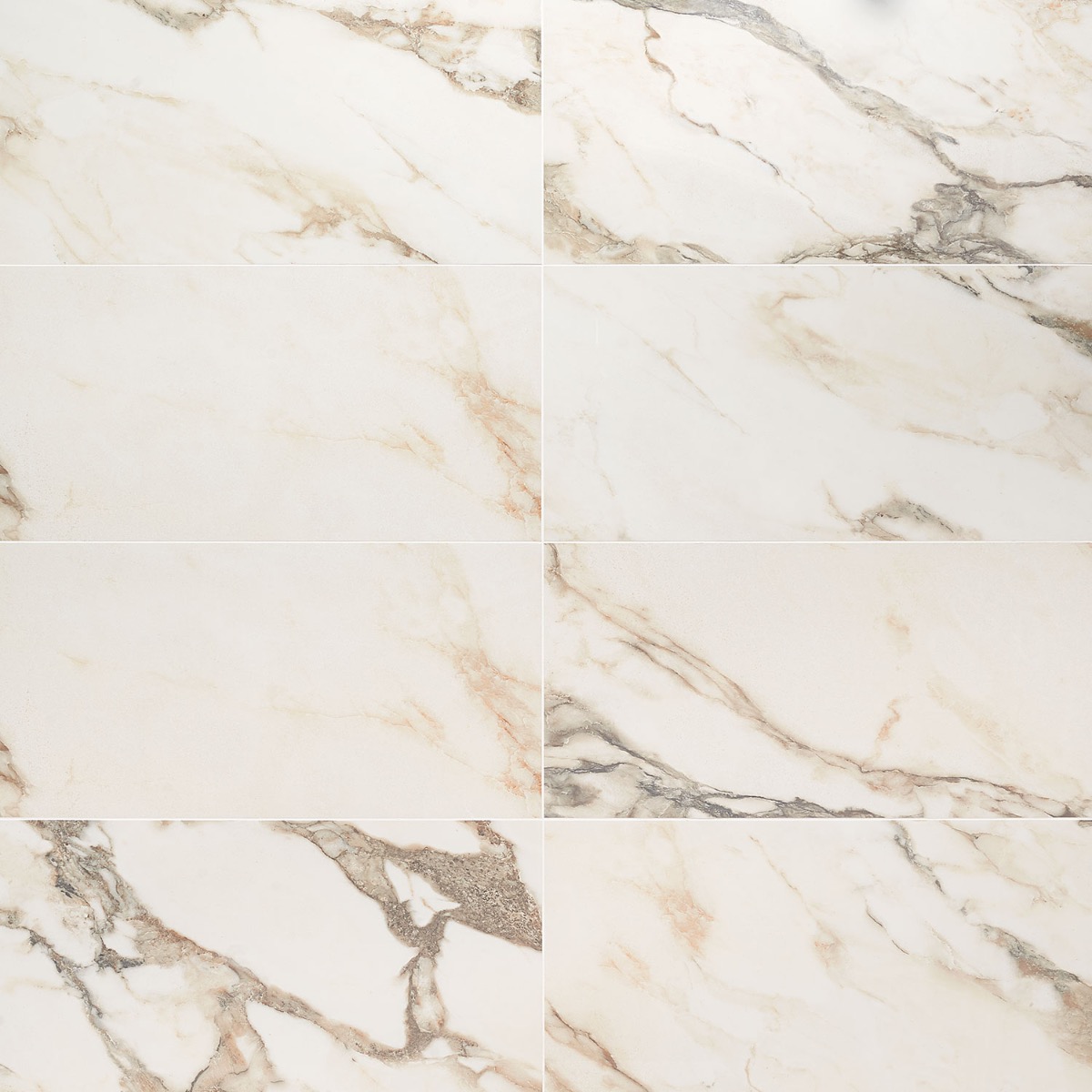 Lithe Calacatta Rustico 12x24 Polished 