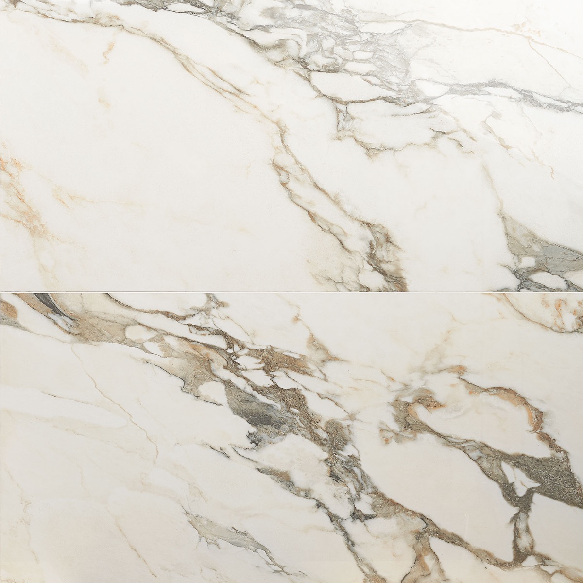 Lithe Calacatta Rustico 24x48 Polished 