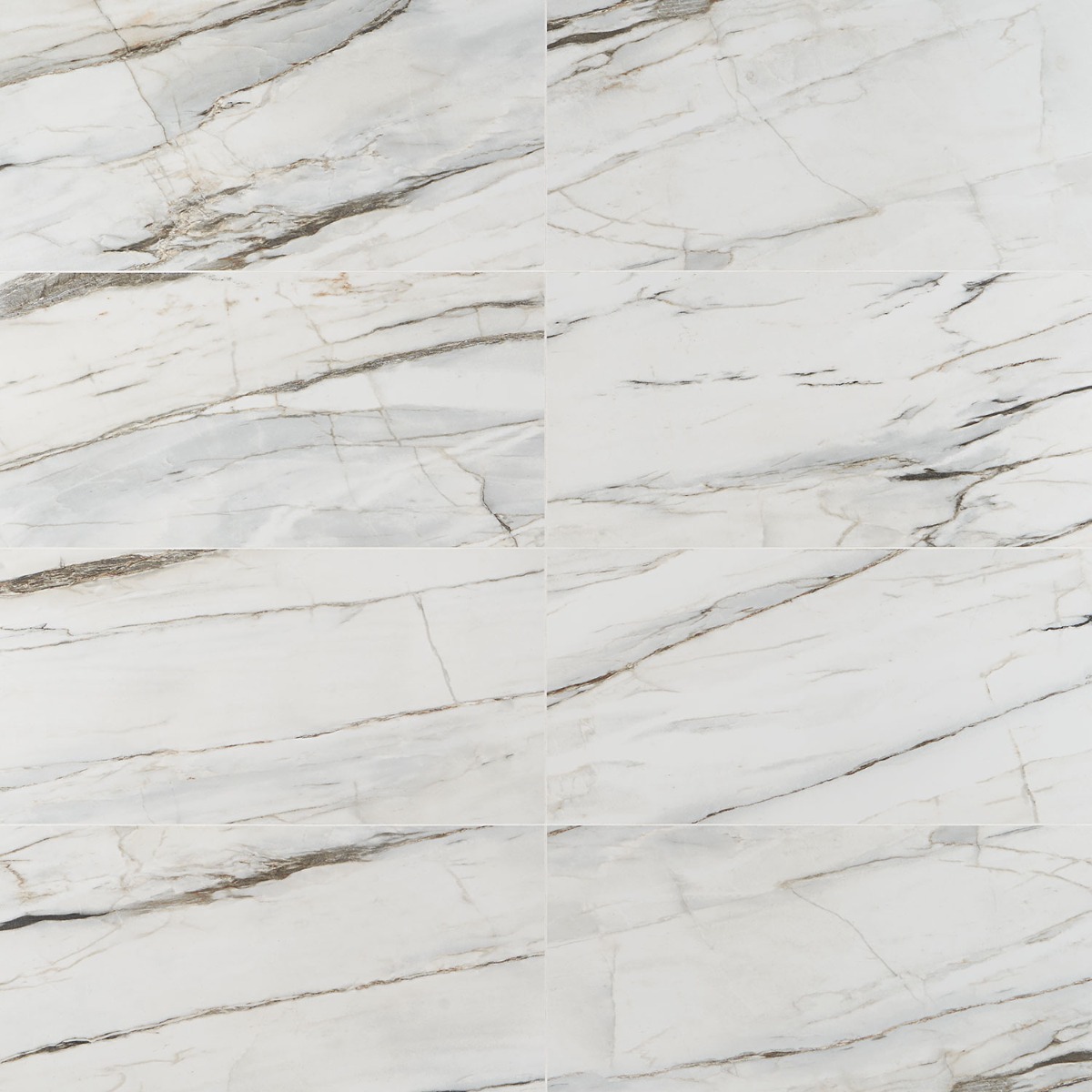 Lithe Carpaccio 12x24 Matte  Porcelain