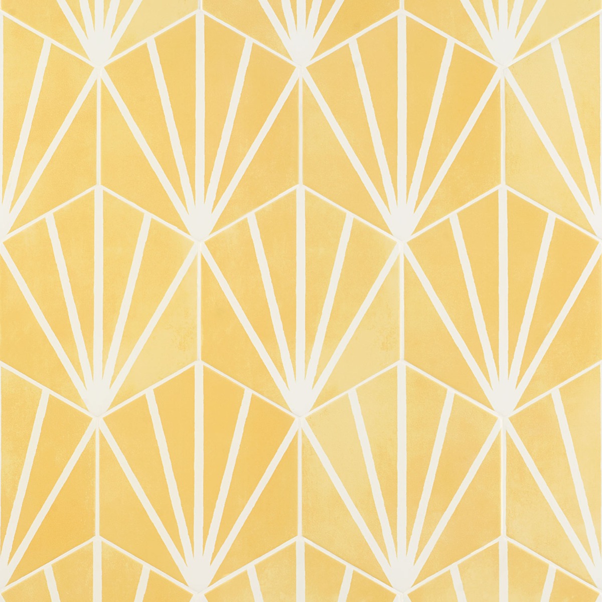 Co-Aries Yellow With Blanco Line 8" Hex 15mm 