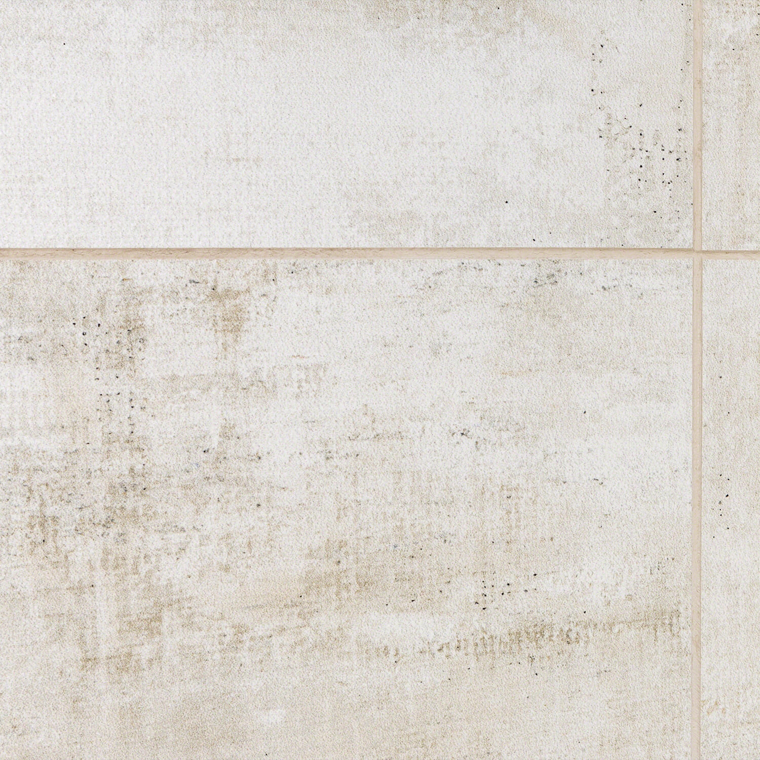 Holland Ash 12x24 Matte Porcelain Tile 
