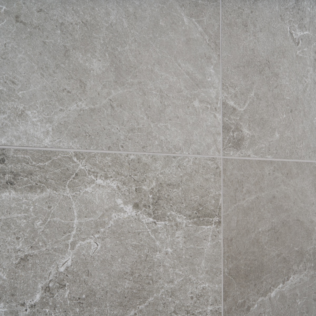 Montech Silver Gray 24x48 Matte Porcelain Tile