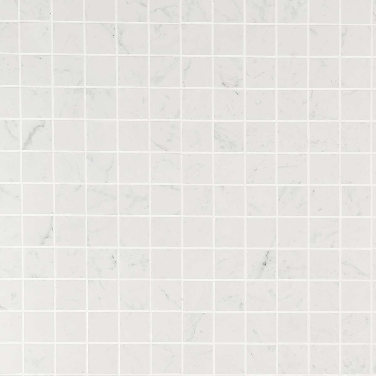 Lithe Carrara Giola 2x2 Matte  Porcelain