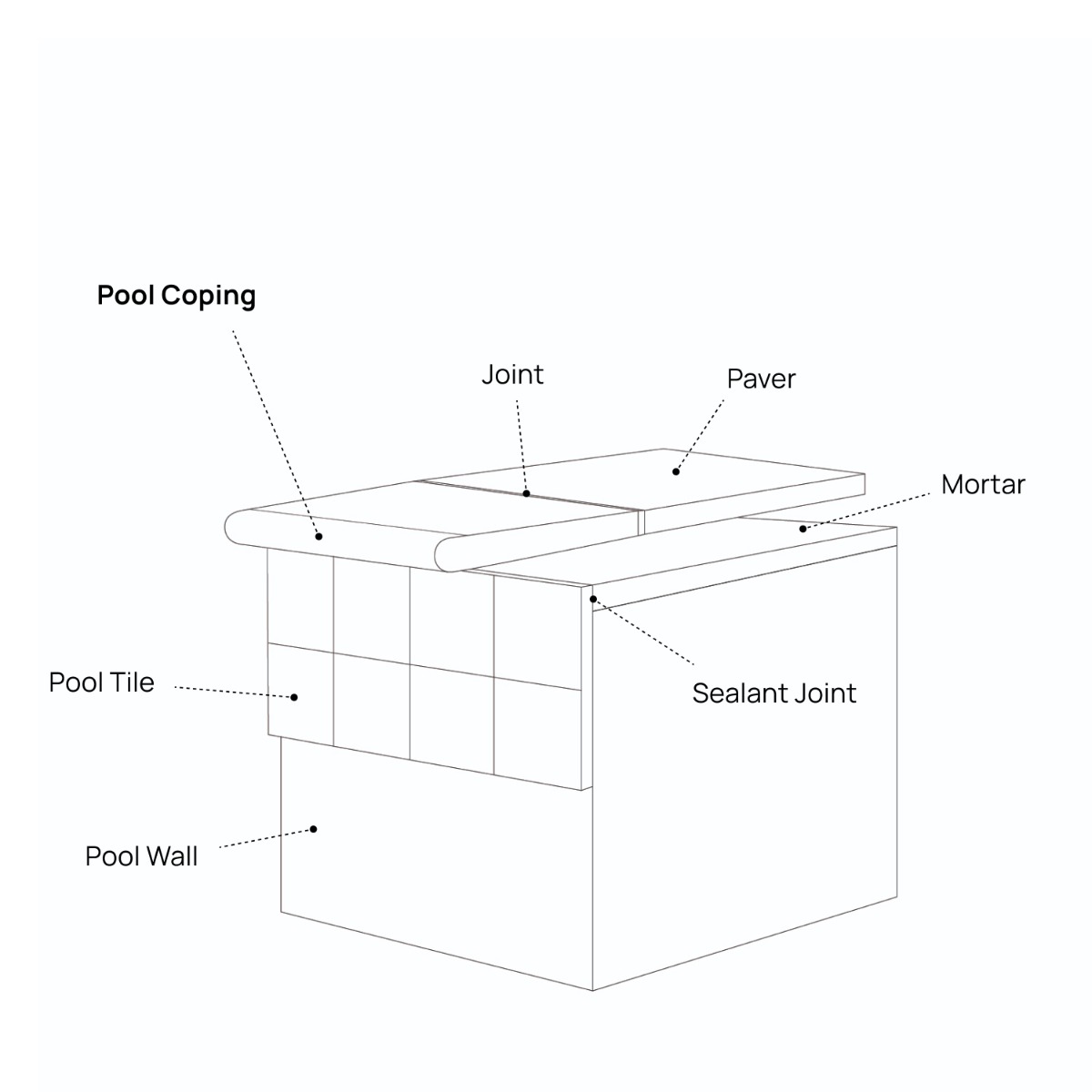 Montech Silver Gray 12x24 Matte Porcelain 2CM Pool Coping