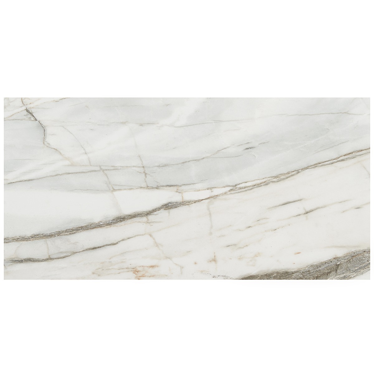 Lithe Carpaccio 12x24 Matte  Porcelain