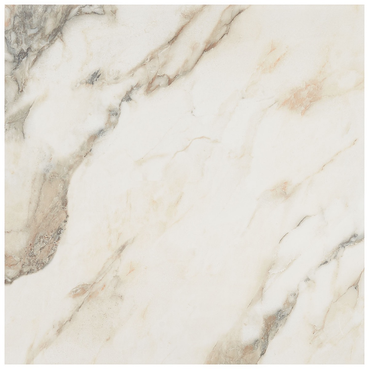 Lithe Calacatta Rustico 24x24 Polished  Porcelain