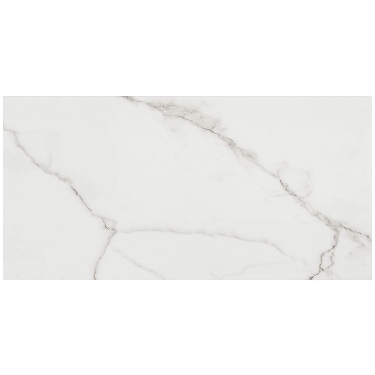 Lithe Statuario Venato 12x24 Polished  Porcelain