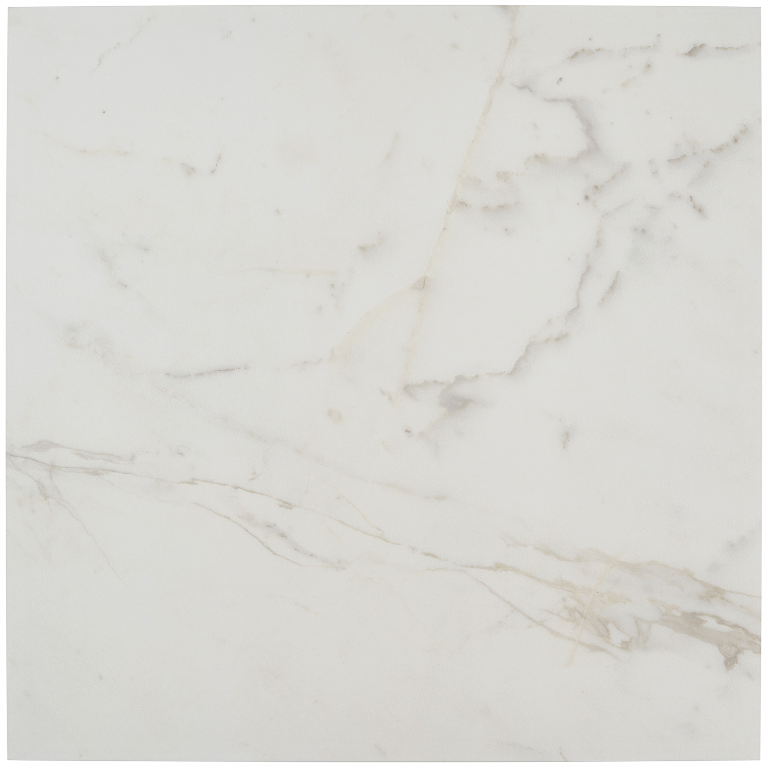 Versilia Calacatta 24x24 Matte  Porcelain