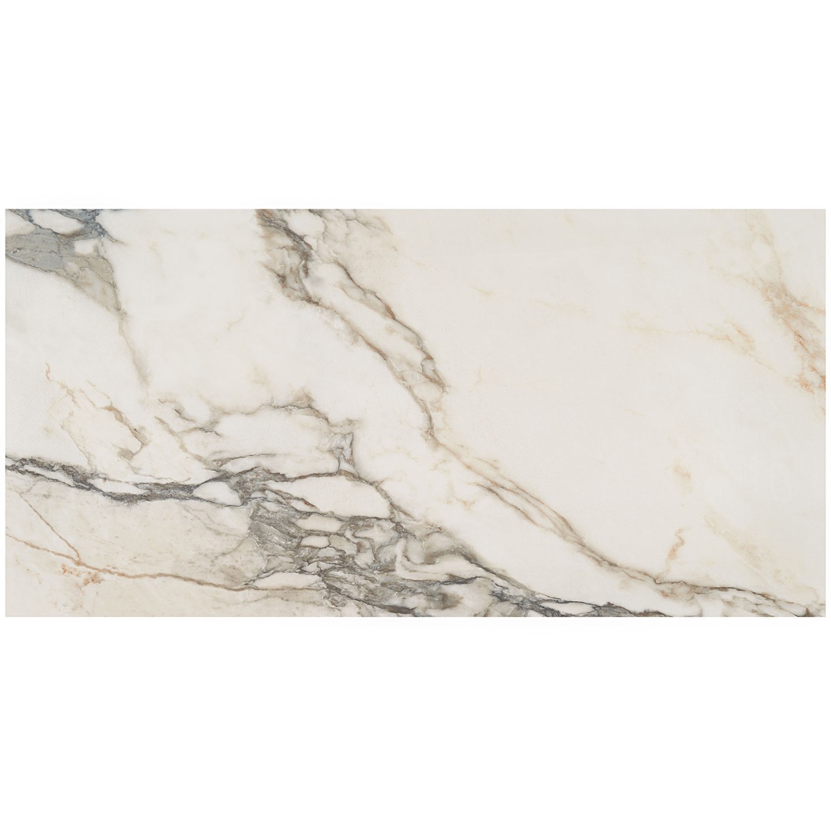Lithe Calacatta Rustico 24x48 Polished  Porcelain