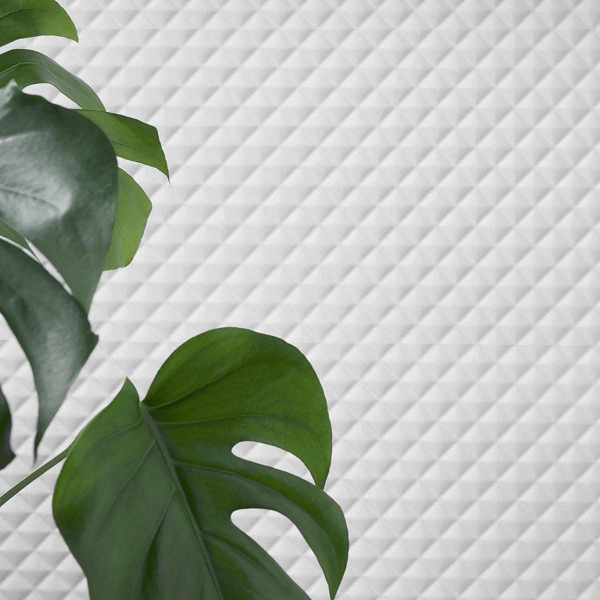Accent Montana White 12x36 Polished  Ceramic